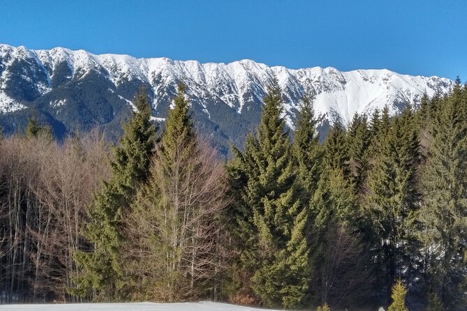 Rambling in Transylvania - Customer Reviews