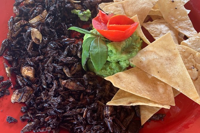 Real Mezcal Adventure - Oaxacan Culture and Cuisine