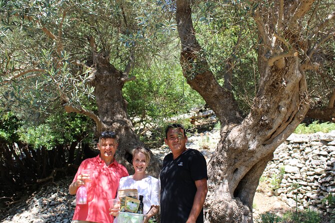 Rethymnon Olive Tree Sponsorship Protect and Plant Tour - Sustainable Tourism Practices