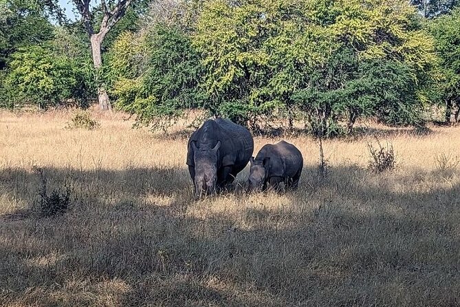 Rhino Walking Safari - Safety and Security
