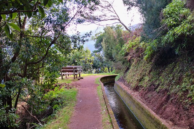 Ribeira Da Janela Tunnels and Waterfalls Tour - Levada Walking Experience