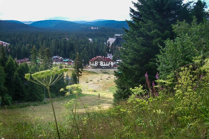 Rila Monastery & Thermae Full-Day Tour From Sofia - Transportation and Group Size