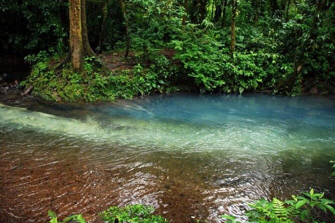 Rio Celeste Tour: Hiking, Sloth Sanctuary & Llanos De Cortes Waterfall (Private) - Accessibility and Physical Fitness Level
