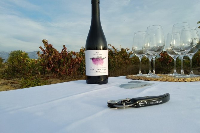 Rioja Wine Tour: Winery & Traditional Lunch From Pamplona - Customer Feedback