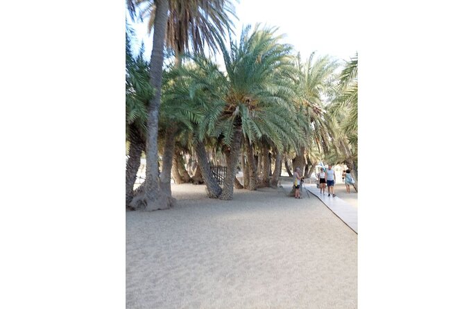 RIVIERA - Vai Palm Beach, Toplou Monastery - Customer Reviews