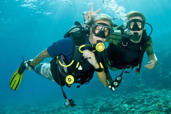 Roatan 1 Tank Shore Dive, Sloth & Monkey Park, City Tour Plus Transportation - Tour Considerations and Requirements