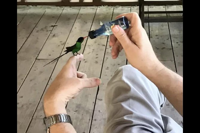Rockland Bird Sanctuary and Hip-Strip Shopping - Hip-Strip Shopping Opportunities