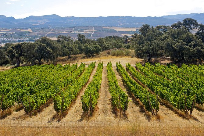 Ronda Private Full Day Wine Tour - Booking Your Tour