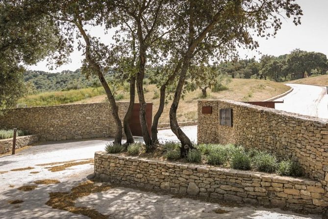 Ronda Private Wine Tour Free Time in Ronda - Local Gastronomy Experience