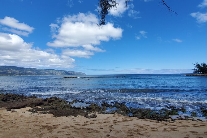 Round Trip North Shore Shuttle From Waikiki to Haleiwa Town / Haleiwa Harbor - Recommended Activities