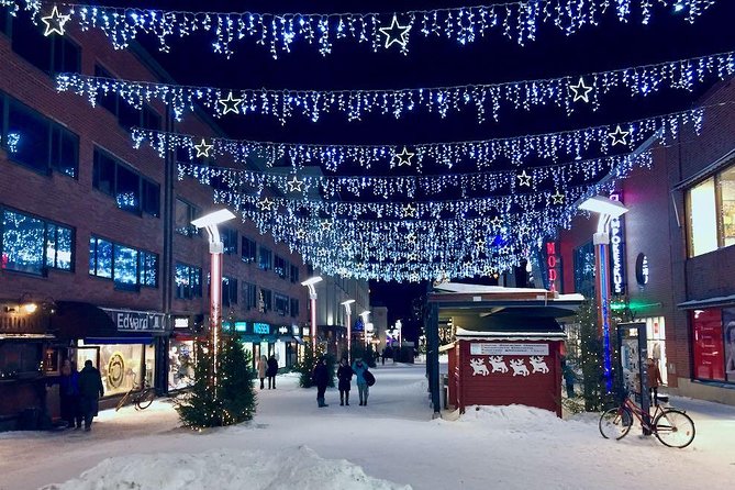 Rovaniemi Guided Tour and Santa Claus Village - Accessibility and Accommodations