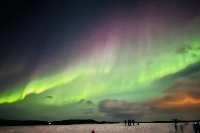 Rovaniemi Northern Lights Small-Group BBQ With Hotel Transfers - Tour Operator and Quality