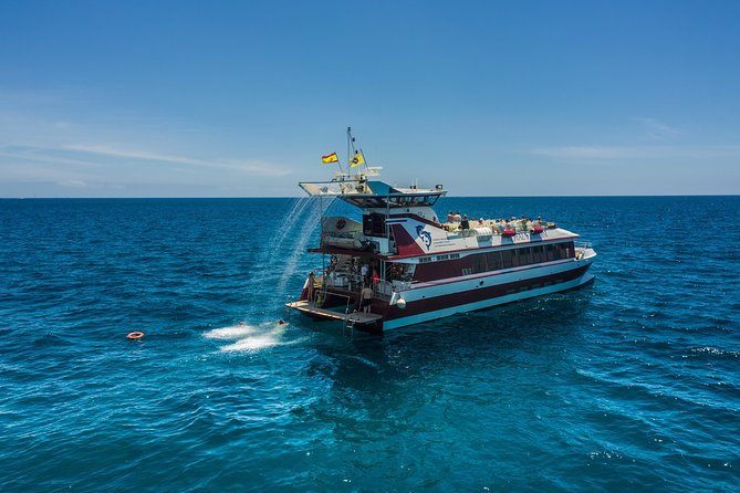 Royal Delfin 3H Dolphin & Whale Watching! Swimming & Lunch! - Cancellation and Booking Options