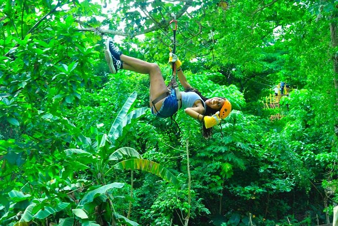 Safari Adventure in Punta Cana - About the Provider