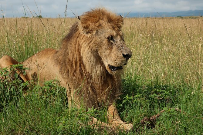 Safari And Beach Vacations - Booking and Cancellation Policies
