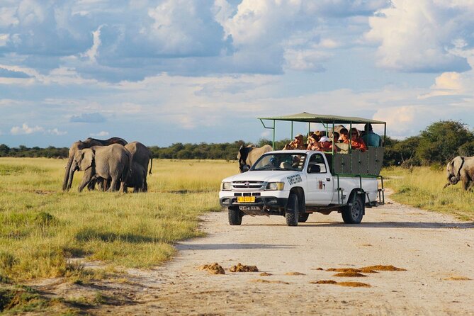 Safari in Etosha National Park With Professional Tour Guides Born in Etosha. - Gratuity and Local Insights