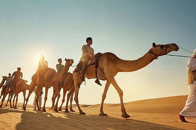 Safari With BBQ Dinner and Quad Biking - Frequently Asked Questions