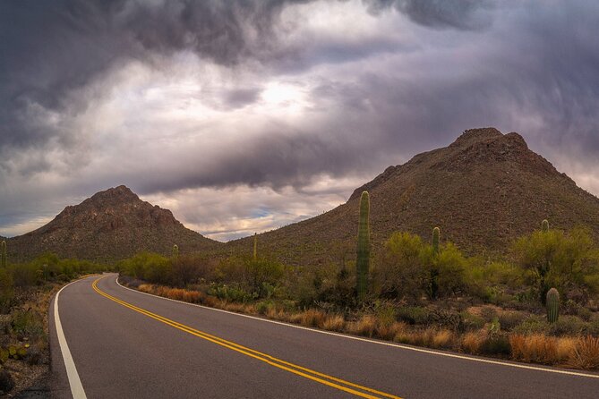 Saguaro National Park Self-Guided Driving Audio Tour - Customer Feedback and Recommendations