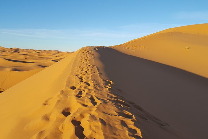 Sahara Adventure in 4 Days - Meals Included