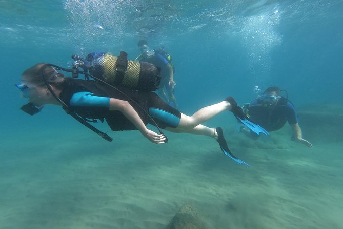 Salou Private Beginner Scuba Diving Course  - Tarragona - Customer Reviews and Ratings