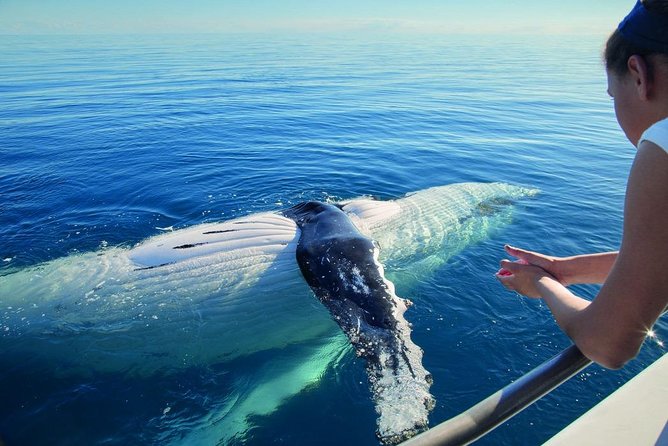 Samana Whale Watching Tour From Las Terrenas. Cayo Levantado With Lunch - Tour Logistics