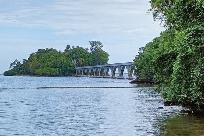Samana & Whales From Punta Cana - What to Expect