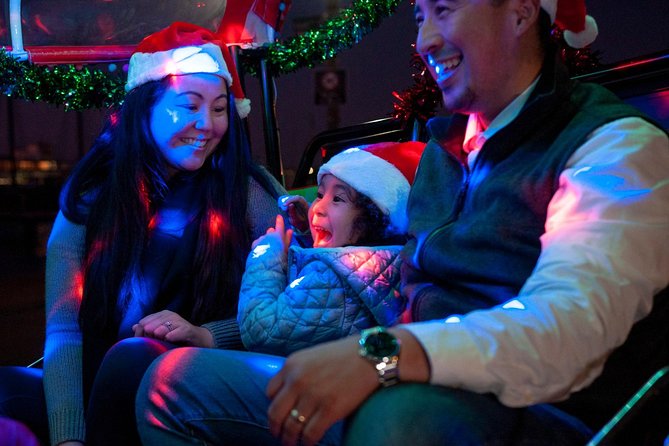 San Francisco Holiday Lights & Sites Lucky Tuk Tuk Private Tour - Customer Reviews