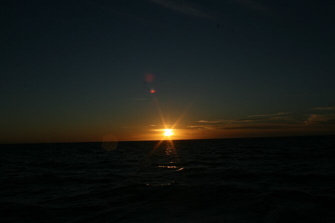 San Jose Del Cabo Small-Group Sunrise Whale Watching - Tour Logistics and Details