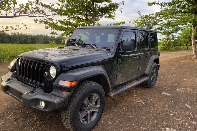 San Juan Highlights Private Sightseeing Tour in Jeep - Tour Reviews