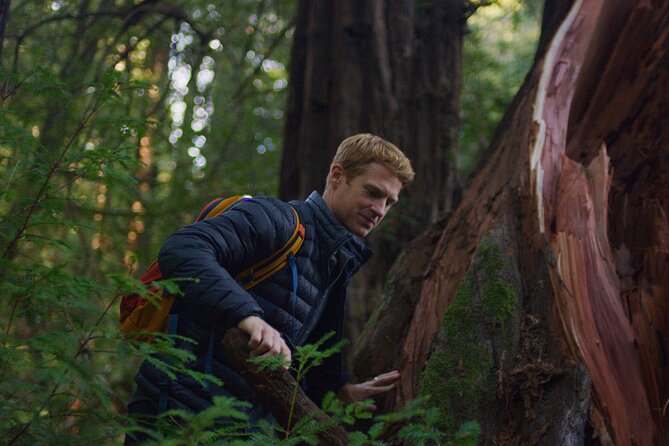 Santa Cruz Redwoods Forest Therapy - Things To Known