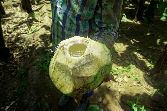 Santiago Island: Banana Plantation, Natural Park & Workshop With a Local Family - Feedback From Previous Guests