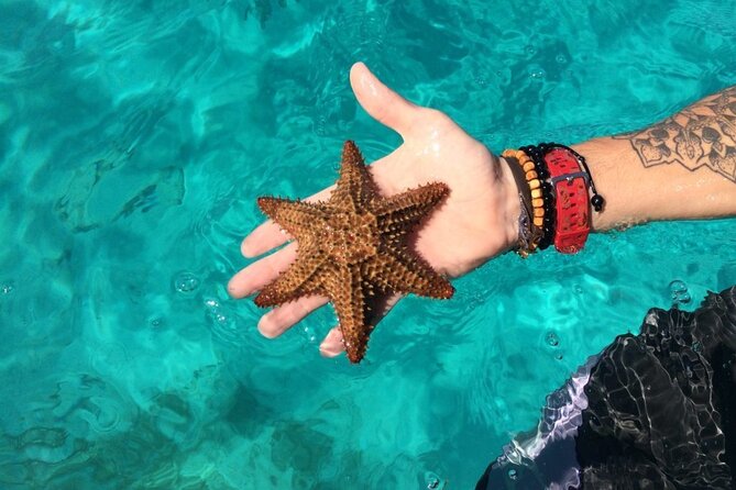 Saona Island Day Trip + Lobsters Included in Uvero Alto - Private Transportation