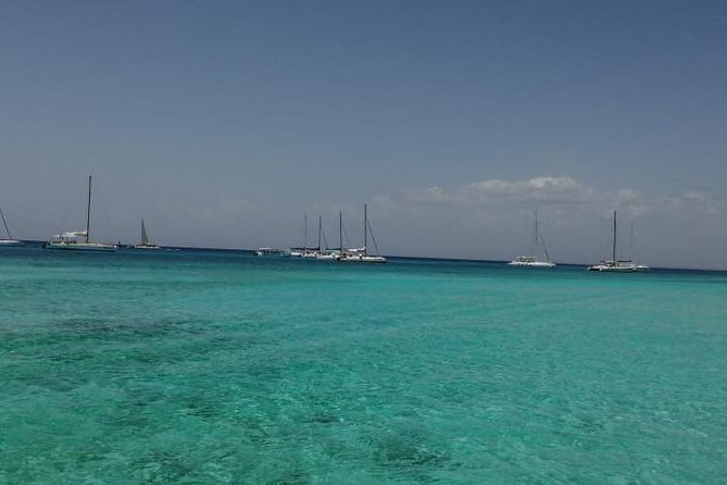Saona Island Full Day From Punta Cana - Tour Itinerary and Activities