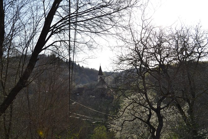 Saxon Heritage in Transylvania: Day Trip From Cluj-Napoca - Convenient Transportation and Pickup