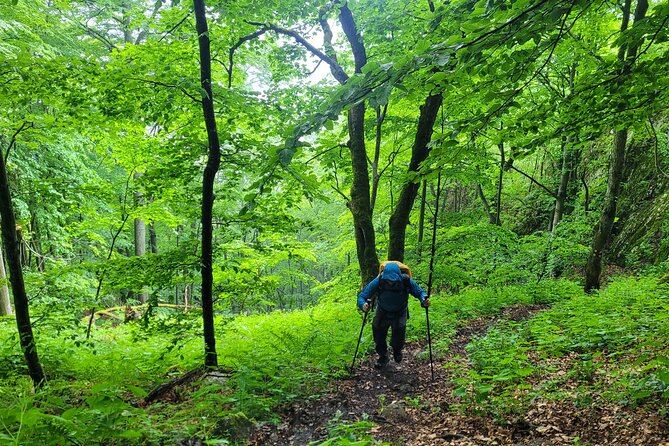 Scarita-Belioara Private Hiking Tour From Cluj  - Cluj-Napoca - Reviews and Feedback Summary