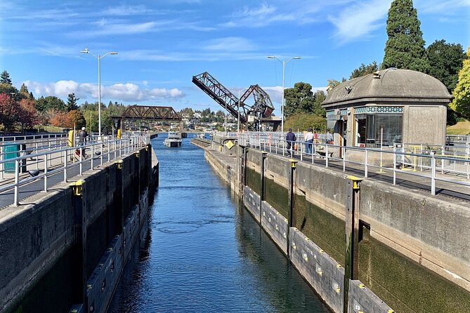 Scenic Seattle Panoramic Tour - Tour Highlights and Insights