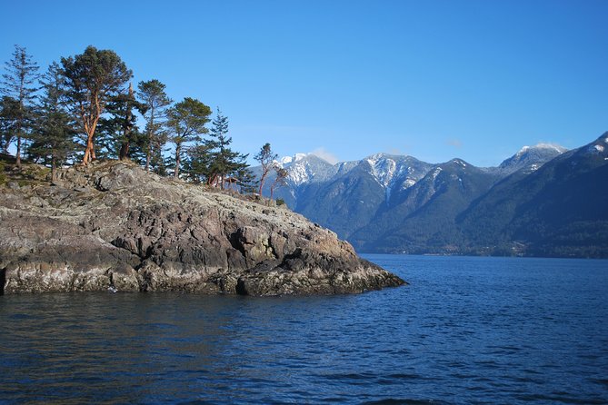 Scuba Dive Boat Charter in Vancouver (Certified Divers Only!) - Booking and Cancellation Policy