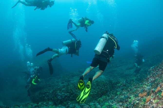 Scuba Diving Arcos or Marietas Vallarta Undersea - Sustainability and Conservation