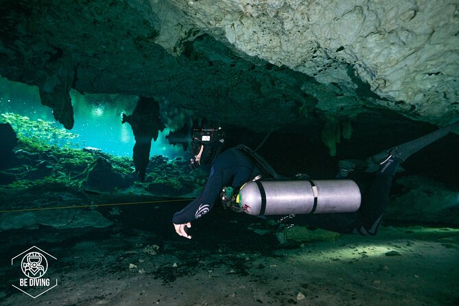 Scuba Diving in Cenotes - Booking and Logistics for the Tour