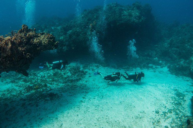 Scuba Diving in Cozumel Island - Confirmation and Price Guarantee