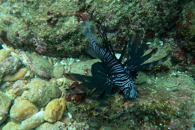 Scuba Diving in Muscat - Cancellation and Refund Policy