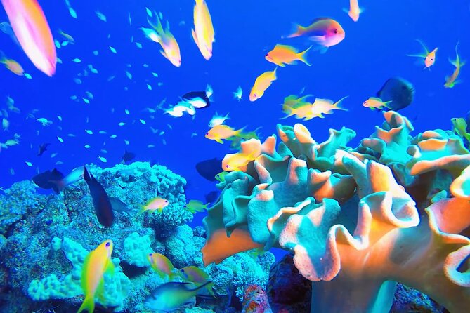 Scuba Doo Underwater in Punta Cana - Frequently Asked Questions