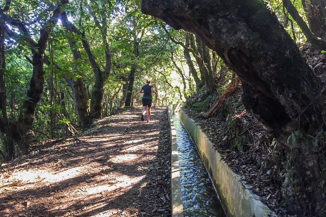 Sea 2 Mountain Running Tour (Moderate-Hard) - What to Expect