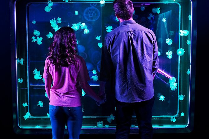 SEA LIFE Aquarium Grapevine Admission Ticket - Combo Ticket With LEGOLAND