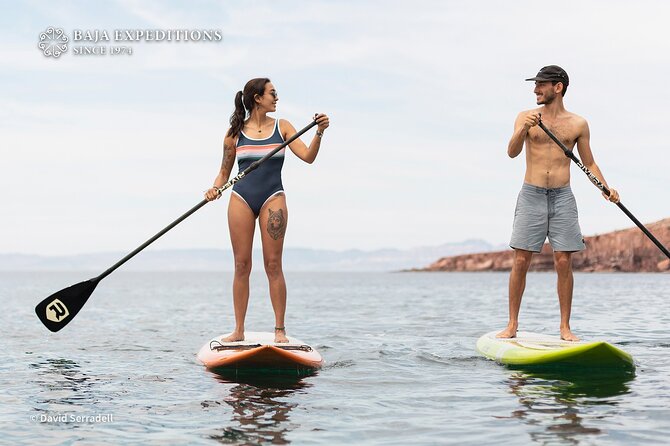 Sea of Cortez Day Adventure Activity With Snorkel and Paddleboard in La Paz - Snorkeling Adventure