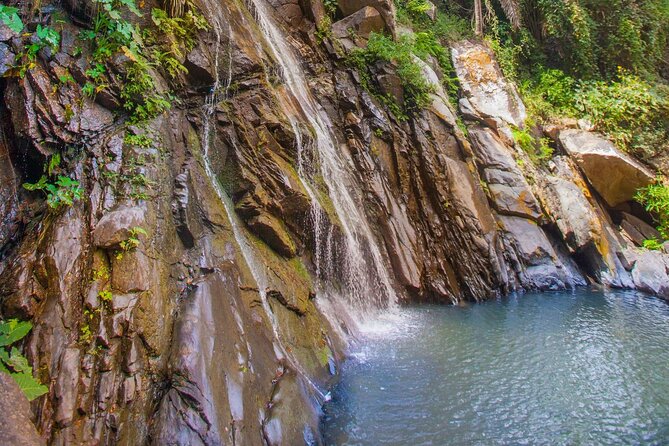 Sea Safari & Beach BBQ at Secluded Pizota Jungle Beach - What to Expect on the Tour