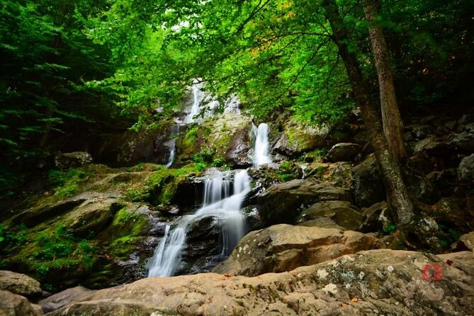 Self-Guided Audio Driving Tour in Shenandoah National Park - Pricing and Purchasing