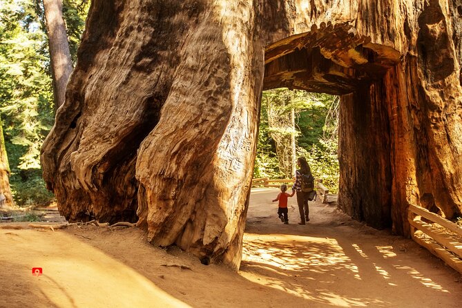 Self-Guided Audio Driving Tour in Yosemite - Benefits of the Audio Tour