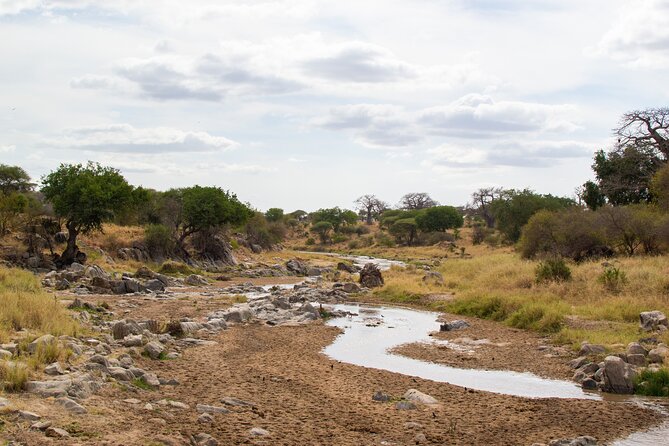 Serengeti Great Wildebeest Migration - 5 Days Tanzania Safari - Frequently Asked Questions