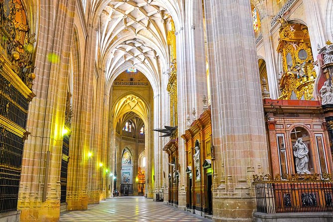 Seville: Cathedral and Alcázar - Highlights